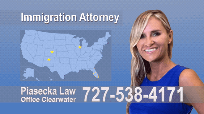 Divorce Immigration Clearwater, 